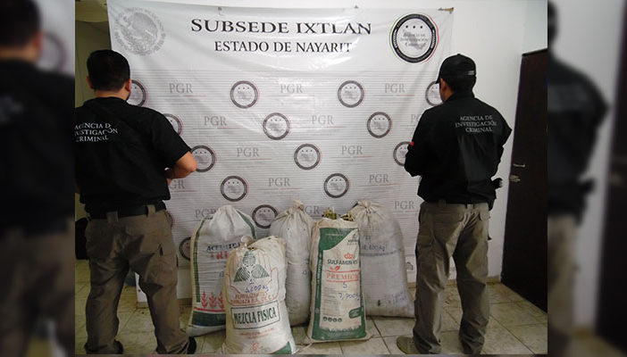Aseguran 59 kilos de marihuana en Ixtlán del Rio, Nayarit