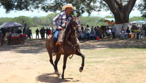 Alistan operativo de seguridad para La Paseada en Las Palmas
