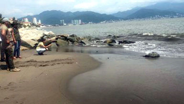 Libera Profepa en Puerto Vallarta dos ejemplares de especies de fauna silvestre