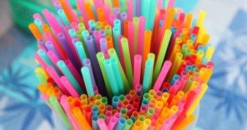 Los popotes contaminan todos los ecosistemas