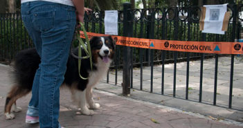 Matan a hombre acusado de envenenar perros en Torreón