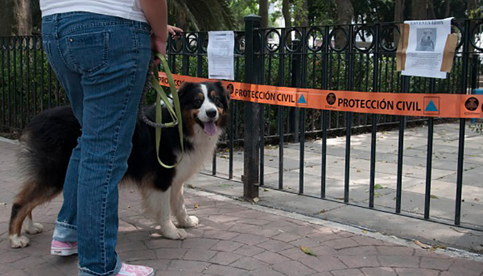 Matan a hombre acusado de envenenar perros en Torreón