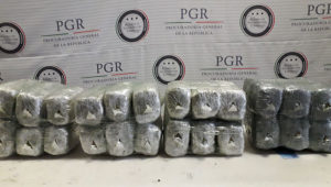 Asegura 15 kilos de marihuana en paquetería de Tlaquepaque