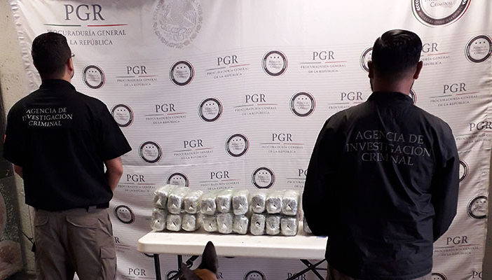 Asegura 15 kilos de marihuana en paquetería de Tlaquepaque