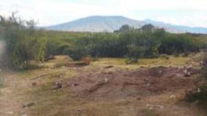 Autoridades federales realizan importantes decomisos de combustible ilícito