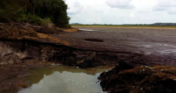 Quintana Roo: Laguna Chakanbakán desaparece en menos de 24 horas