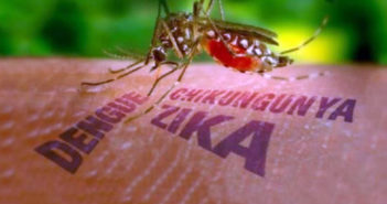 En cuatro meses se cuadruplican los casos de Dengue en la región