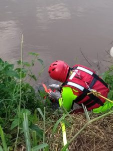 Localizan cuerpo en Puerto Vallarta tras supuesto ataque de cocodrilo