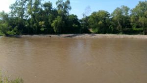 Localizan cuerpo en Puerto Vallarta tras supuesto ataque de cocodrilo