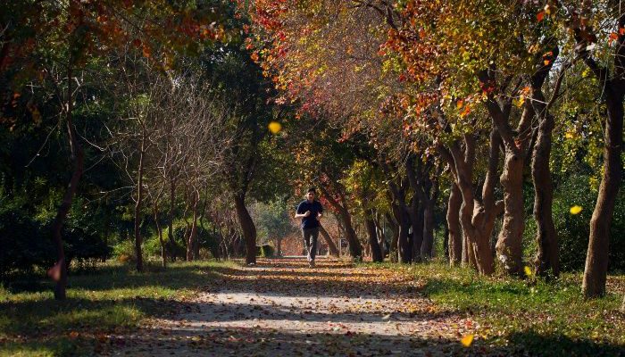 El verano finaliza en la mitad norte del planeta este sábado