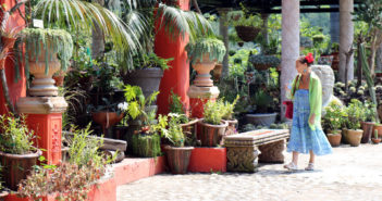 Alista Jardín Botánico de Vallarta nuevos recorridos guiados
