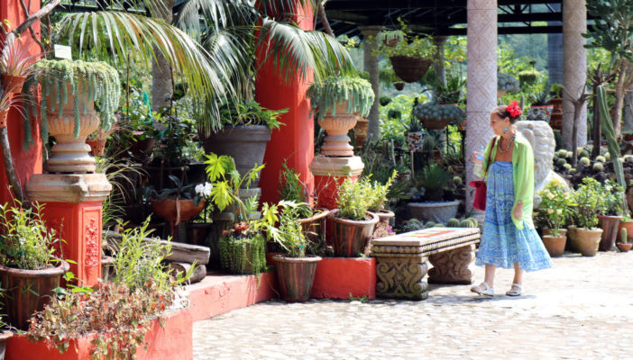 Alista Jardín Botánico de Vallarta nuevos recorridos guiados