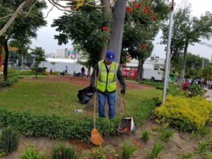 Centro de Guadalajara quedá con 52 toneladas de basura tras Romería 2 Centro de Guadalajara quedá con 52 toneladas de basura tras Romería
