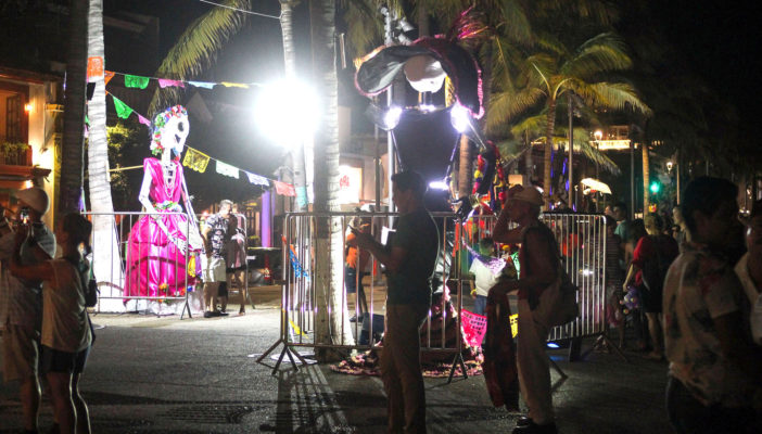 “Las Palmeras más Catrinas” engalanan al Malecón de Puerto Vallarta