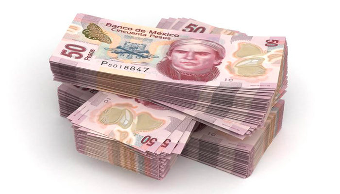 Se espera que en 2024 el salario mínimo sea de 290 pesos diarios