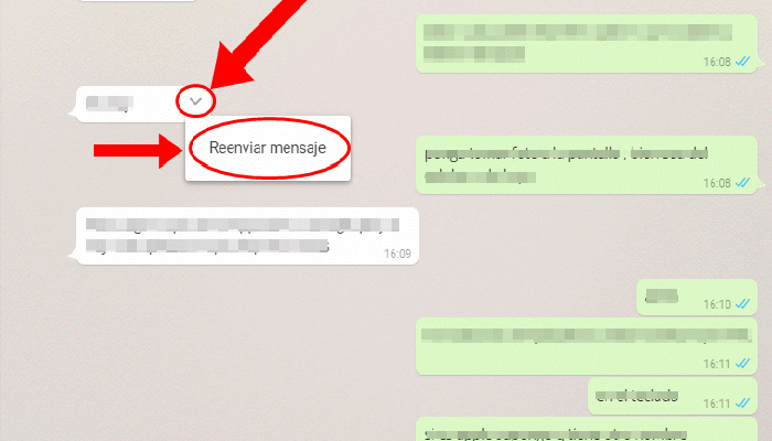 WhatsApp lanza actualización para evitar el reenvío de mensajes falsos