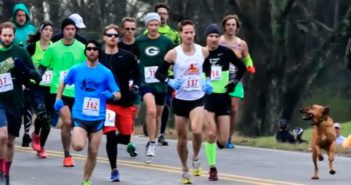 'Ludivine', la perra que compitió en un medio maratón y llegó en séptimo lugar