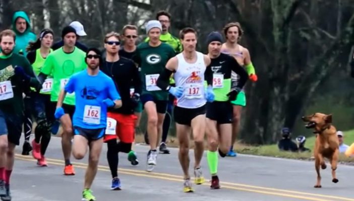 'Ludivine', la perra que compitió en un medio maratón y llegó en séptimo lugar