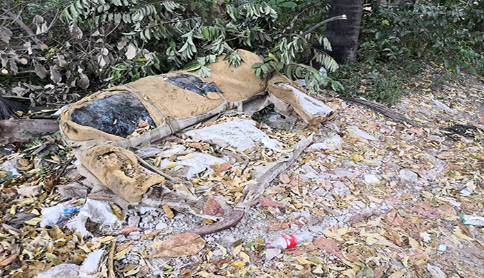 Basurero clandestino en el Pitillal; todos lo ven menos el gobierno de Dávalos 5 Basurero clandestino en el Pitillal; todos lo ven menos el gobierno de Dávalos