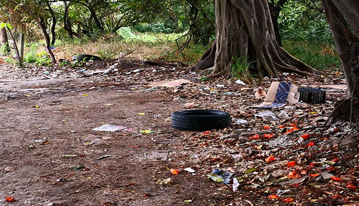 Basurero clandestino en el Pitillal; todos lo ven menos el gobierno de Dávalos 6 Basurero clandestino en el Pitillal; todos lo ven menos el gobierno de Dávalos