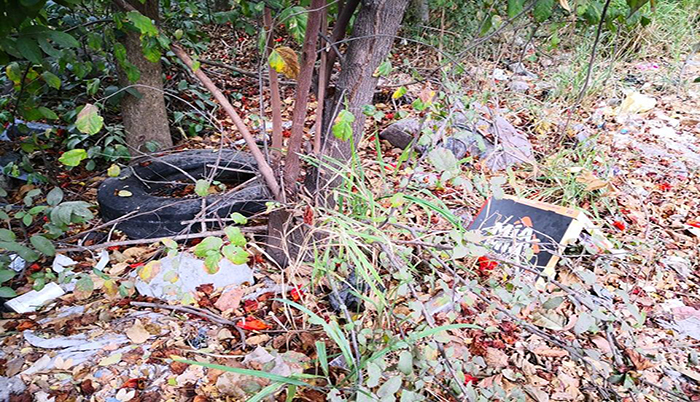 Basurero clandestino en el Pitillal; todos lo ven menos el gobierno de Dávalos 7 Basurero clandestino en el Pitillal; todos lo ven menos el gobierno de Dávalos