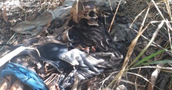Localizan restos humanos en lote de Lomas del Coapinole-Información Oficial