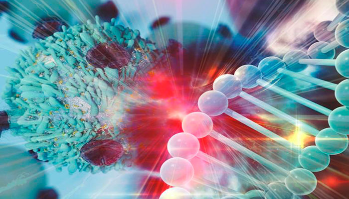 Conoce los principales tipos de cáncer que más matan en Jalisco