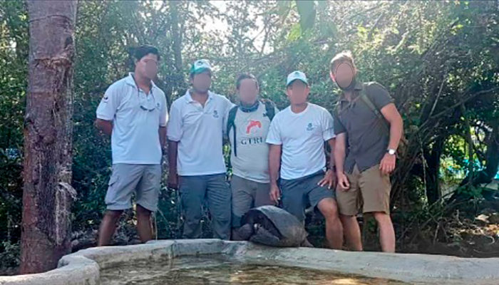 Encuentran especie de tortuga que se creía extinta desde hace 100 años