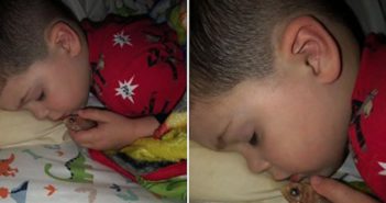 Niño mata a pez por accidente tras sacarlo del agua para dormir con él