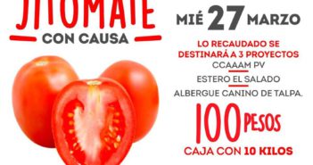 A 10 el kg de jitomate para apoyar al estero