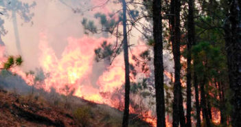 Jalisco ocupa el décimo lugar en daños por incendios