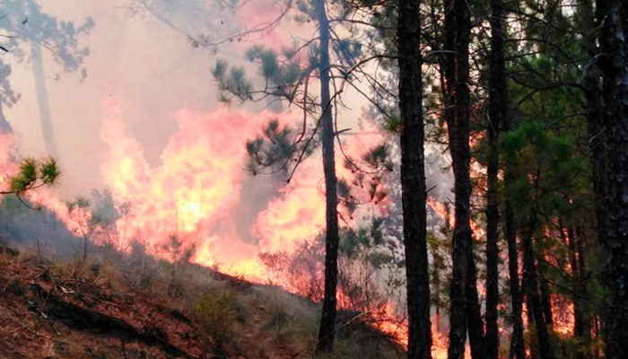 Jalisco ocupa el décimo lugar en daños por incendios