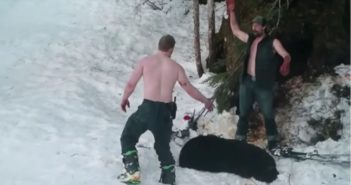 Captan en video a asesinos de osa y cachorros que hibernaban en Alaska