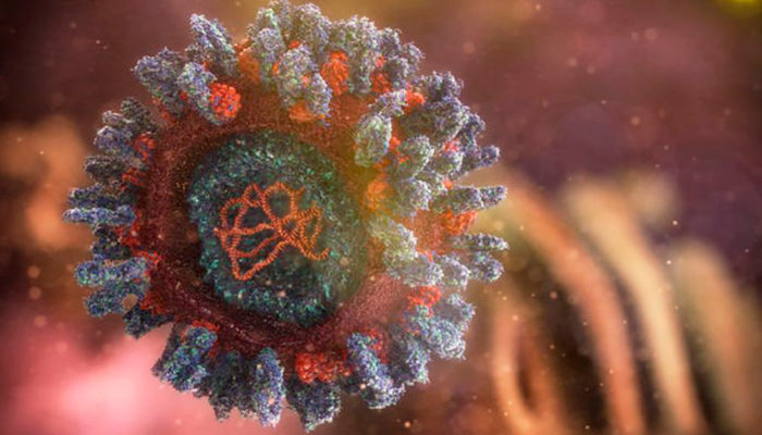 Por tercera vez, médicos logran “exterminar” el VIH