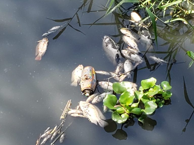 Cierra filas Seapal, elimina contacto directo con medios