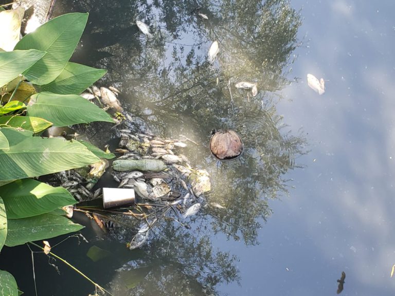 Cierra filas Seapal, elimina contacto directo con medios