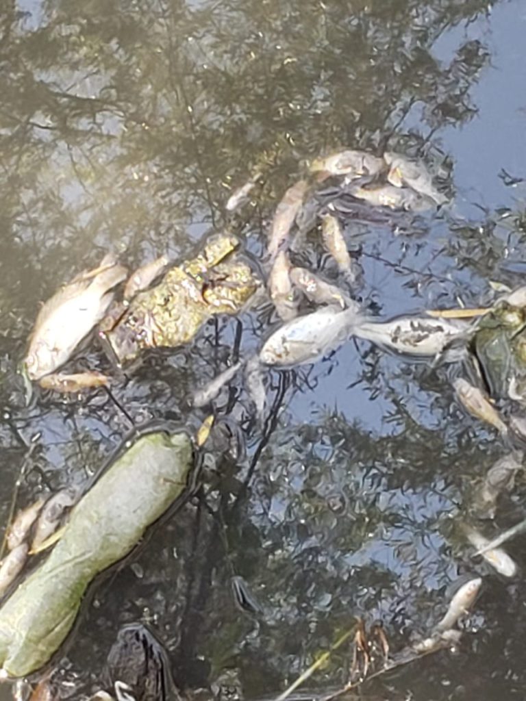 Cierra filas Seapal, elimina contacto directo con medios