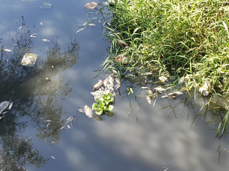 Cierra filas Seapal, elimina contacto directo con medios