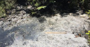 Hay riesgo de que 'El Salado' se quede vacío