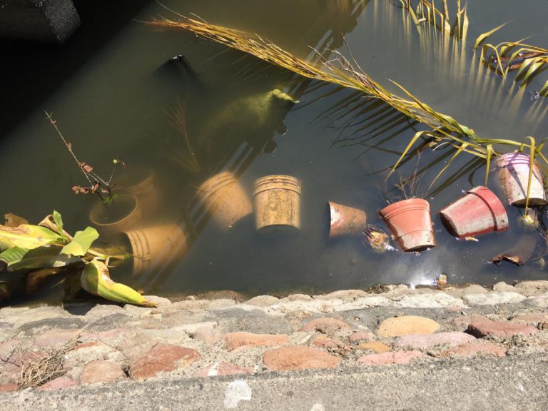 Acceso a playa de los tules, bar y basurero clandestino 2 Acceso a playa de los tules, bar y basurero clandestino