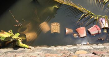 Acceso a playa de los tules, bar y basurero clandestino
