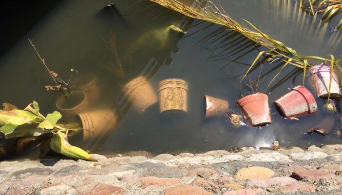 Acceso a playa de los tules, bar y basurero clandestino