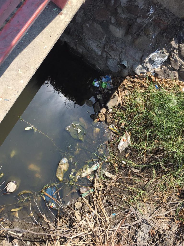 Acceso a playa de los tules, bar y basurero clandestino 4 Acceso a playa de los tules, bar y basurero clandestino