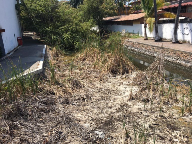 Acceso a playa de los tules, bar y basurero clandestino 5 Acceso a playa de los tules, bar y basurero clandestino