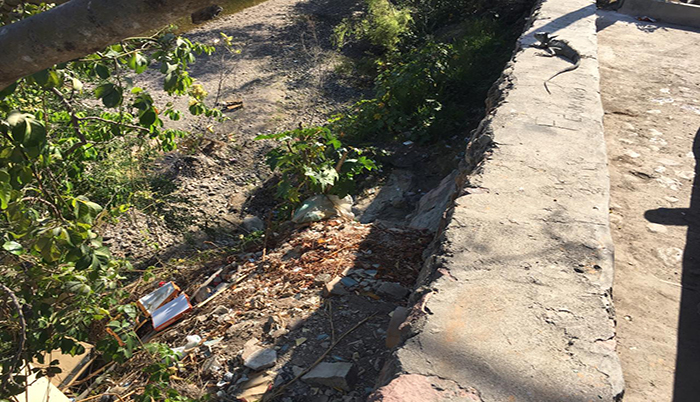 Convierten rivera del Río Pitillal en basurero clandestino 1 Convierten rivera del Río Pitillal en basurero clandestino