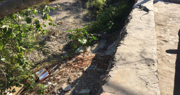 Cero multas por tirar basura en 2 años en Puerto Vallarta