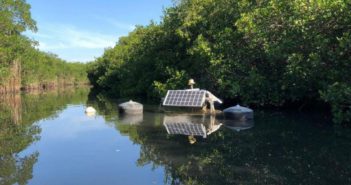 Intencional, descarga de aguas negras en Puerto Vallarta: Gastón González