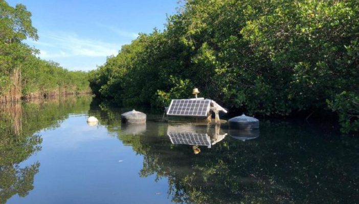 Intencional, descarga de aguas negras en Puerto Vallarta: Gastón González