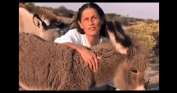 Ricos, pobres, clase media; todos somos animales: Jesusa Rodríguez