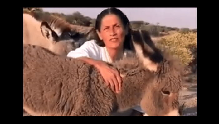 Ricos, pobres, clase media; todos somos animales: Jesusa Rodríguez